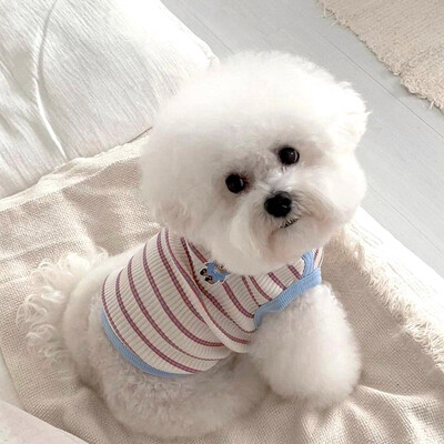 Urs cu dungi Vesta pentru animale de companie Haine cool pentru câini de vară Bichon Frise Pomeranian Pulover casual Teddy drăguț haine cu două picioare
