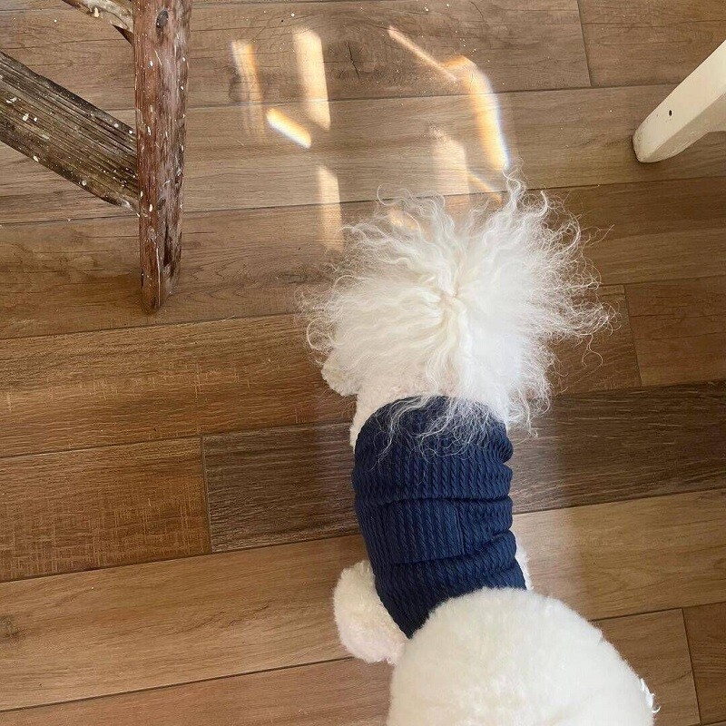 Prsluk na tregere za male pse, ljetna odjeća za štence, rashladni prsluk za pse, čivave, bišone, yorkije, pamuk, jednobojni, djevojčice