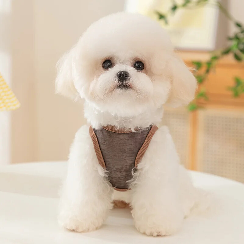 Dog Pet Ujjatlan Hálós Bear Traction Mellény Macska Légáteresztő Vékony Teddy Pet Dog Hűtőmellény kutyáknak Nyári Ruhák