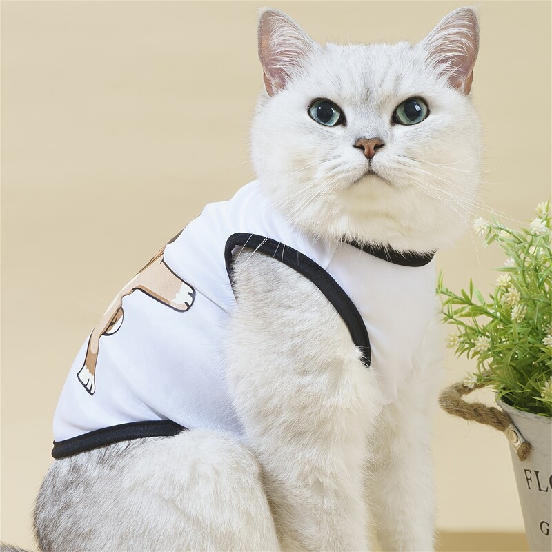 Kisállatruházat: kutya- és macskamellény Könnyű, légáteresztő, kényelmes, egyszerű, nagyvonalú, friss és aranyos, minden évszakban megfelelő