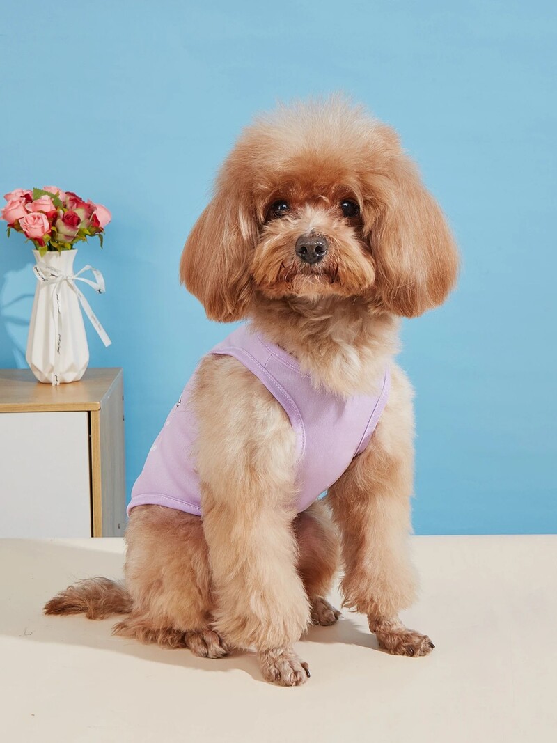 Mājdzīvnieku apģērbs: suņu un kaķu veste Viegla, elpojoša, ērta, vienkārša, dāsna, svaiga un glīta, piemērota visiem gadalaikiem