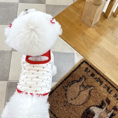 Cățeluș drăguț vestă cireșe haine subțiri de vară pentru câini Bichon pulover moale Teddy câine mic haine cu două picioare