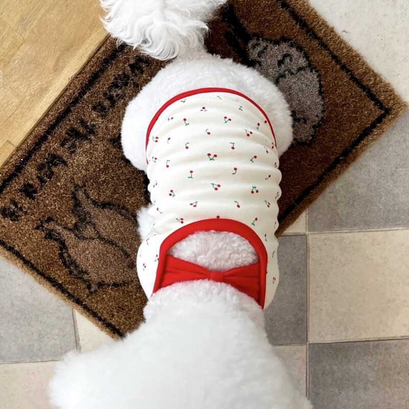 Cățeluș drăguț vestă cireșe haine subțiri de vară pentru câini Bichon pulover moale Teddy câine mic haine cu două picioare