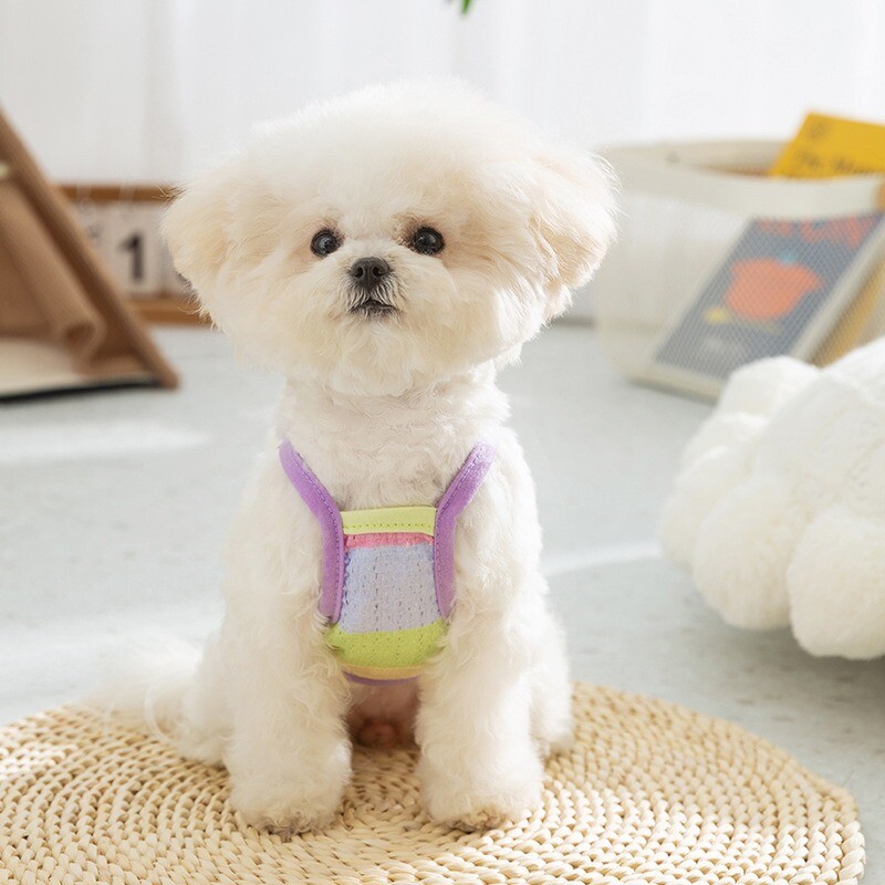 Vaivorykštės juostiniai šunų drabužiai nuo plaukų slinkimo, vasarinė, kvėpuojanti megztinė, bikinio marškinėliai.