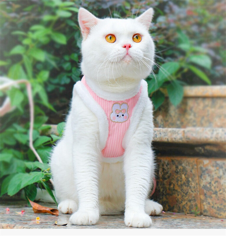 Storo vilnonio šuns pavadėlio komplektas prancūzų buldogui žiemai šilta, tvirta liemenė, trauka, 120 cm rankena lauke vaikščiojanti katės grandinė