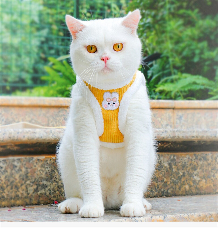 Storo vilnonio šuns pavadėlio komplektas prancūzų buldogui žiemai šilta, tvirta liemenė, trauka, 120 cm rankena lauke vaikščiojanti katės grandinė