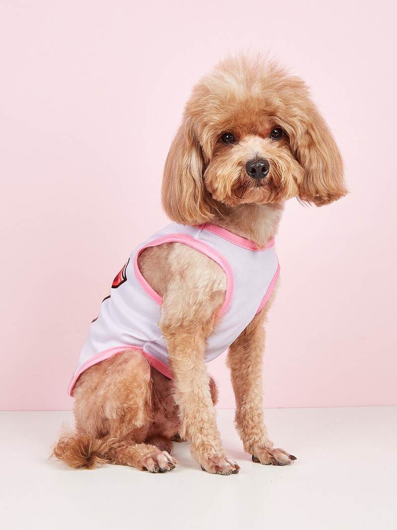 Kisállatruházat: kutya- és macskamellény Könnyű, légáteresztő, kényelmes, egyszerű, nagylelkű, friss és aranyos, minden évszakban megfelelő