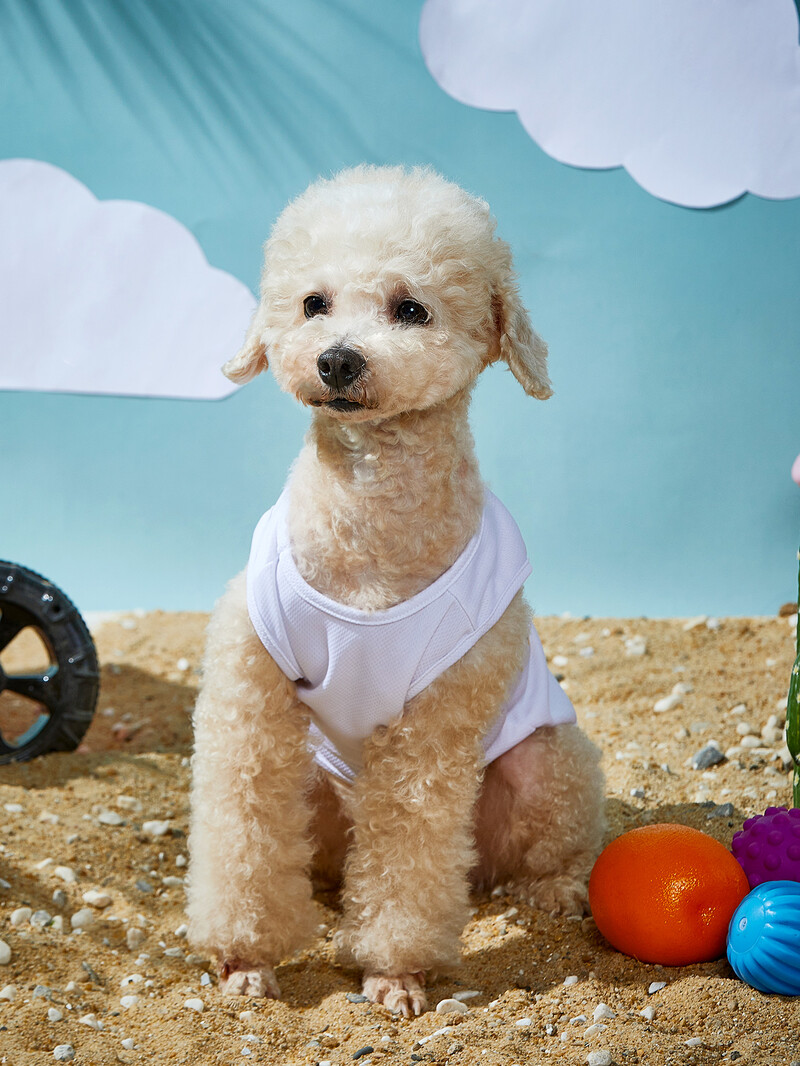 Kutyaruházat Kölyökkutya mellény, Ujjatlan póló Puha alapruha kicsiknek közepes fiúknak lányoknak macskáknak cica öltözékek tavaszi nyár számára