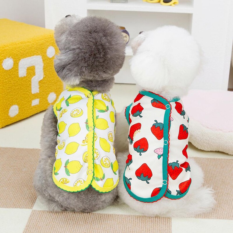 Jauki mājdzīvnieku suņu kaķu apģērbi vasaras kucēna T krekls maziem suņiem Multfilma Čivavas veste Mājdzīvnieku sauļošanās apģērbi Kaķu veste Ts G4A2