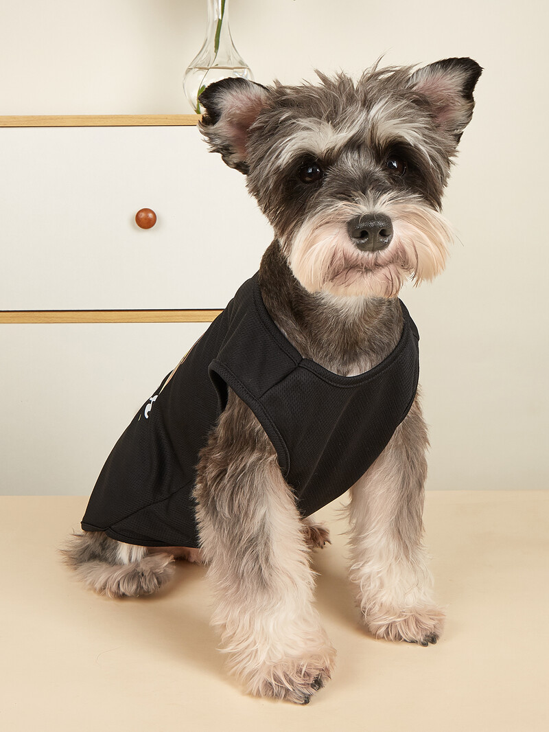 Naminių šunų kačių drabužiai marškinėliai vasaros spauda, minkšti pagrindiniai drabužiai mažų ir vidutinių berniukų šunų kostiumams