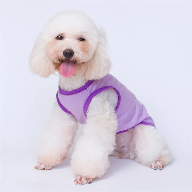 Mielos spaudos katės šunų liemenės be rankovių, vasariniai naminių gyvūnėlių drabužiai, audiniai, neplyšę mažiems šunims Čihuahua Jorkšyro šuniuko drabužių marškinėliai