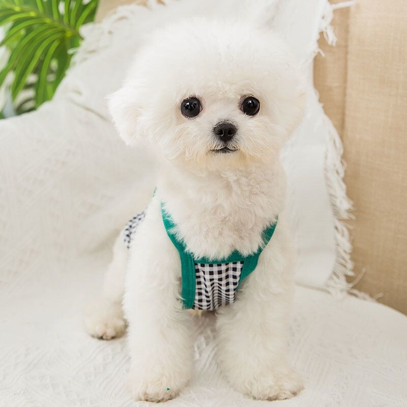 Vestă de modă pentru câini, cu model de zâmbet drăguț, cămăși în carouri, chihuahua, Yorkies, vestă moale, cămăși ocazionale pentru pisici, haine de vară pentru cățeluși, accesorii pentru animale de companie