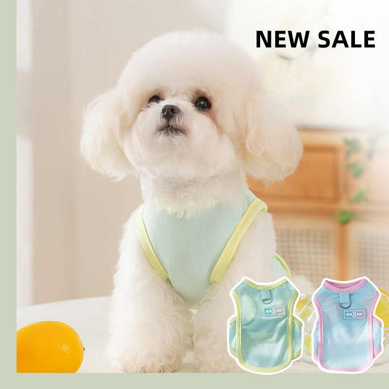 Naminių gyvūnėlių ledo šilko liemenė Šaunūs modelio meškiuko rūbai Ploni kvėpuojantys šuniuko megztiniai Bichon Frise Teddy vienspalviai drabužiai