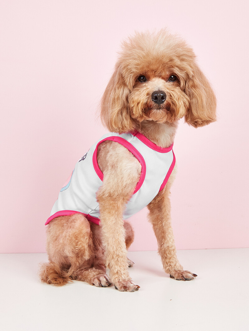 Mājdzīvnieku apģērbs: suņu un kaķu veste Viegla, elpojoša, ērta, vienkārša, dāsna, svaiga un glīta, piemērota visiem gadalaikiem