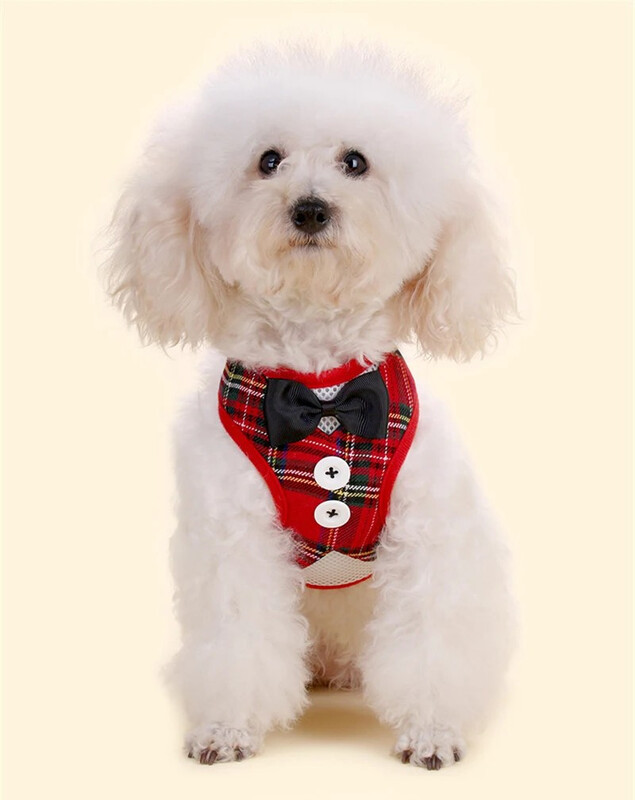 Elegantiški lankai šunų antkakliai Kaklaraištis Trakcinis lynas kalėdinis naminių gyvūnėlių diržas mažiems vidutiniams šunims Katės krūtinės dirželis šunų priedai Dovanos