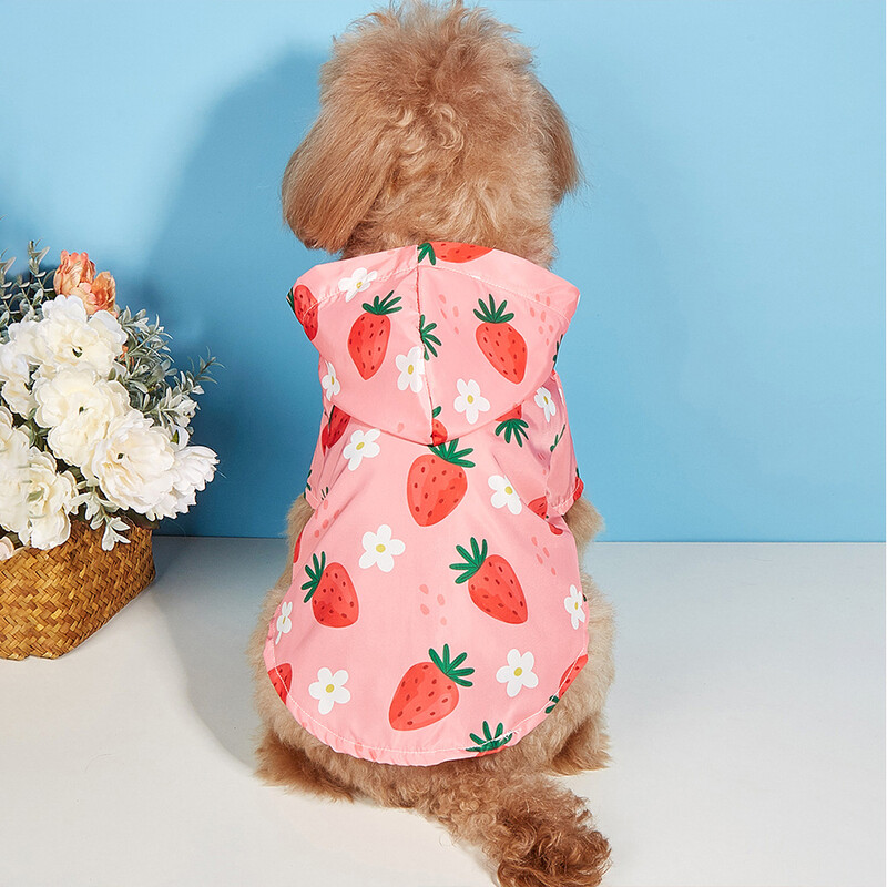 Pelenă de ploaie impermeabilă, cu căpșuni, pentru câini de talie mică, cu all-inclusive, haine respirabile pentru cățeluși, accesorii universale confortabile pentru animale de companie