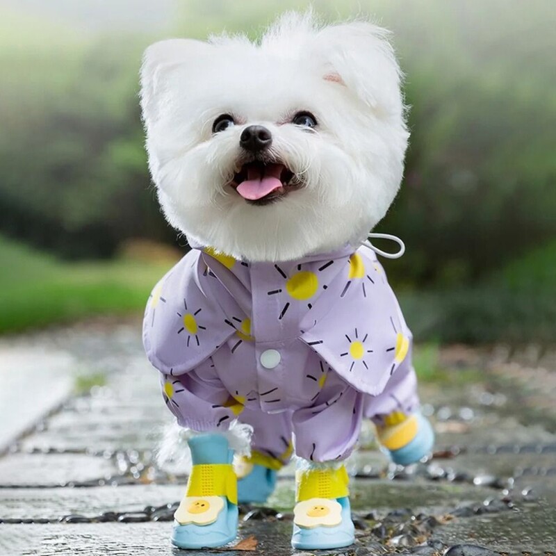Mielas vandeniui atsparus šunų lietpaltis Reguliuojamas lauko lietaus drabužių gaubto spausdinimas kvėpuojantis naminiams gyvūnėliams Chihuahua