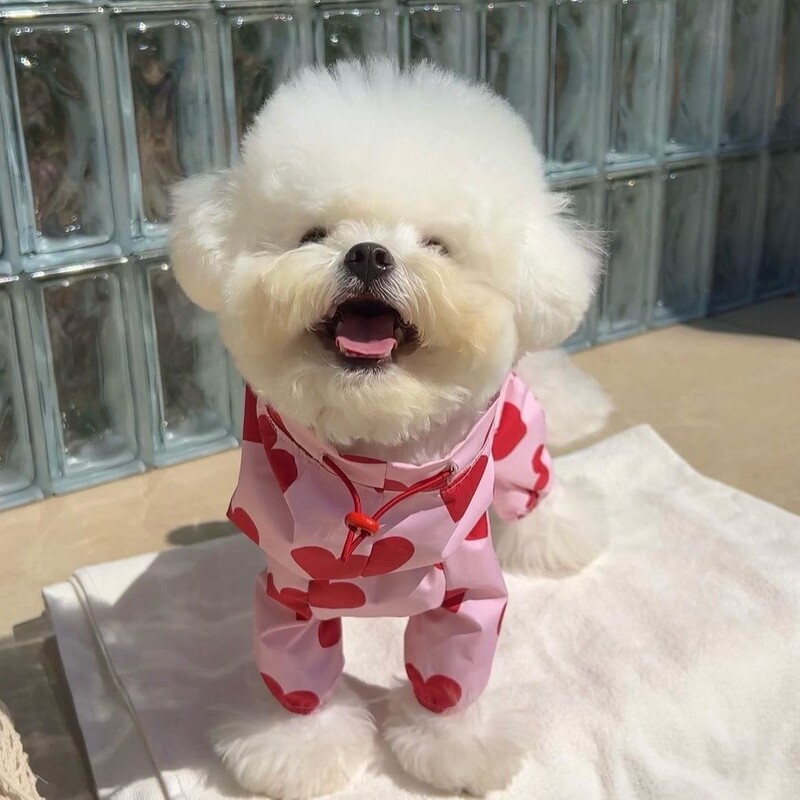 Vairāki vienā ūdensizturīgs sirds formas mākoņdrukas lolojumdzīvnieku lietusmētelis Suņa modelis Mīlīgs suņa apģērbs ar kapuci Maskotas suņa kostīms