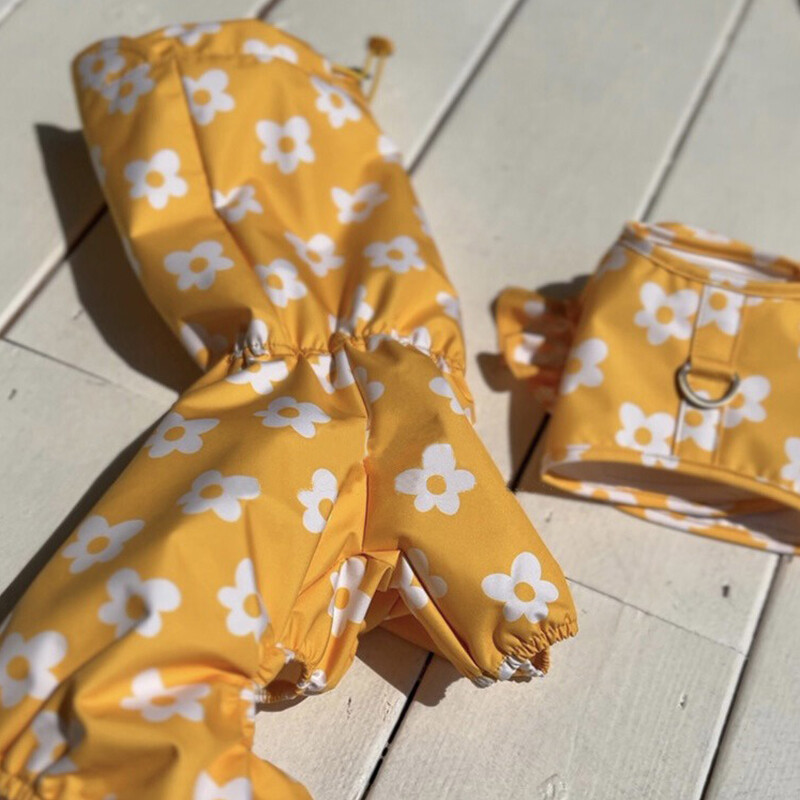 Vairāki vienā ūdensizturīgs sirds formas mākoņdrukas lolojumdzīvnieku lietusmētelis Suņa modelis Mīlīgs suņa apģērbs ar kapuci Maskotas suņa kostīms