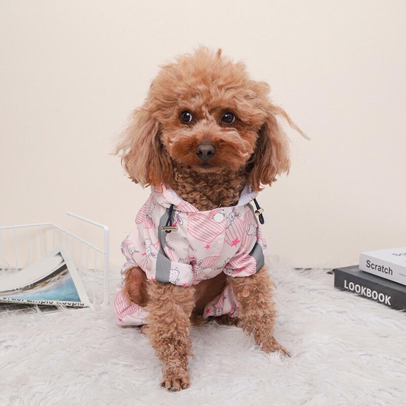 Šuns lietpaltis vandeniui atsparus Čihuahua viskas įskaičiuota lietpalčio pakinktai Mažo šuns vandeniui atsparus šuns šuniuko drabužiai Mažas šuns lietpaltis