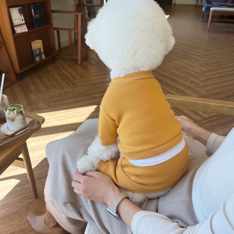 Žiemos šiltas šunų kombinezonas šuniuko kailis laisvalaikis šunų gobtuvai naminių gyvūnėlių striukė Čihuahua bichon prancūzų buldogo kostiumas katės šuniui megztinis