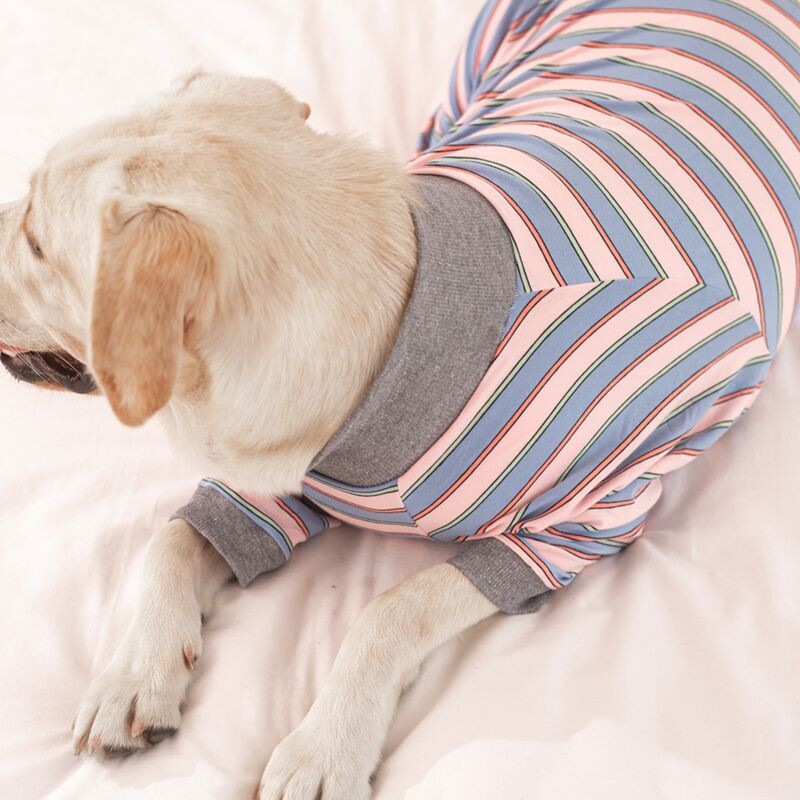 2XL~6XLPDrabužiai šunims Žiemai Šilti Namai Didelio šuns katės marškiniai Kombinezonas Pet Pižama Keturkojai Drabužiai Dideliam šuniui Pooperacinis kostiumas