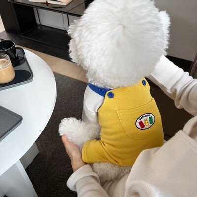 Vasariniai šunų kombinezonai šuniukui 2024 m. Mieli naminių šliaužtinukai Spalvoti blokai Laisvalaikio šunų kelnės Bichon Mopsas Čihuahua Kelnaitės Šuns Kailis