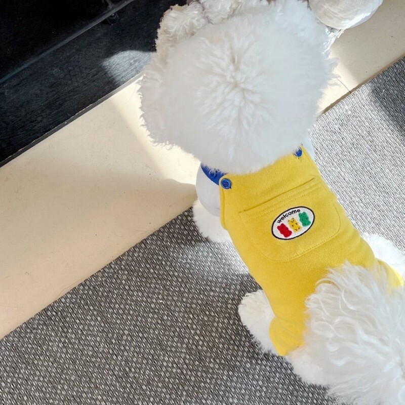 Vasariniai šunų kombinezonai šuniukui 2024 m. Mieli naminių šliaužtinukai Spalvoti blokai Laisvalaikio šunų kelnės Bichon Mopsas Čihuahua Kelnaitės Šuns Kailis