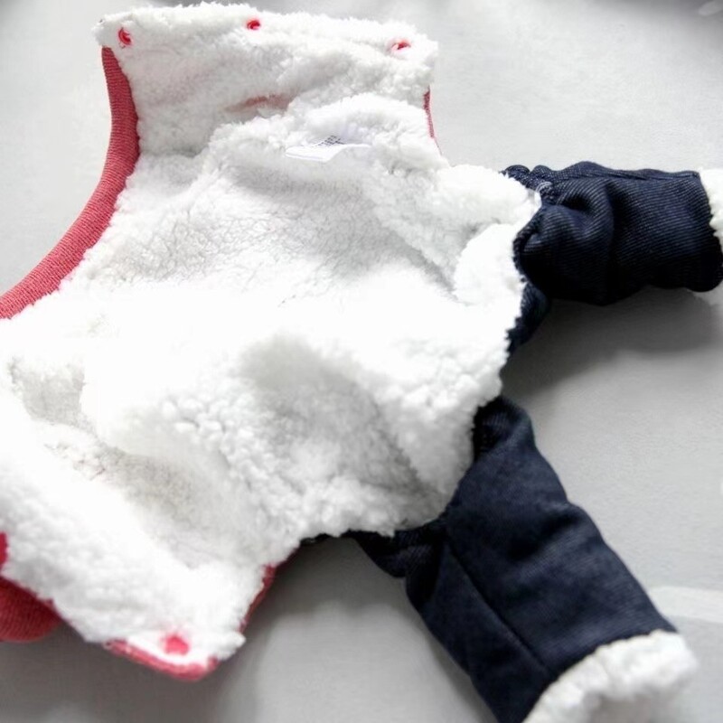 Rudens žiemos kombinezonas Keturių kojų kelnės naminiams gyvūnėliams Meškiuko šunų kombinezonai Keturkojai rūbai su storu aksomu šilumai