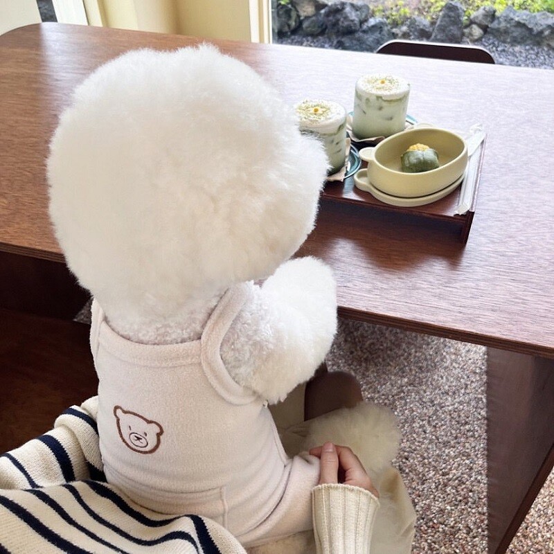 Mielas meškos šuns kombinezonas, šilti rūbai šuniui žiemai, šliaužtinukai naminiams šunims, kačiuko šuniuko paltas, vilnos pižamos čihuahua kelnių kostiumas