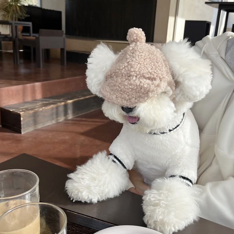 Drabužiai naminiams gyvūnėliams žiemai Mieli meškiuko raštai šunų drabužiai Meškiukai Šilti kombinezonai Drabužiai šuniukui pliušiniai keturkojai drabužiai naminių gyvūnėlių reikmenys