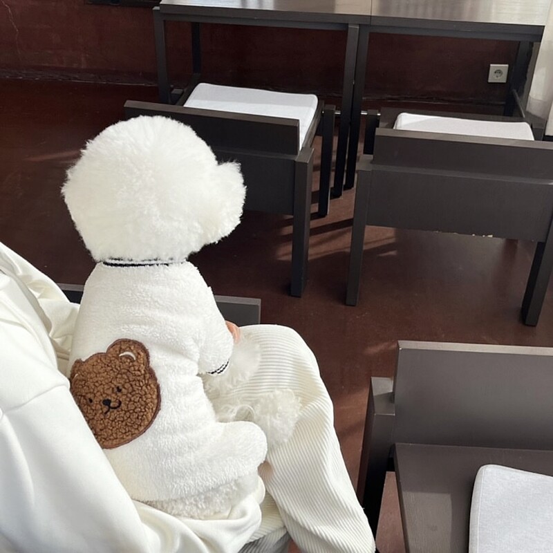 Drabužiai naminiams gyvūnėliams žiemai Mieli meškiuko raštai šunų drabužiai Meškiukai Šilti kombinezonai Drabužiai šuniukui pliušiniai keturkojai drabužiai naminių gyvūnėlių reikmenys