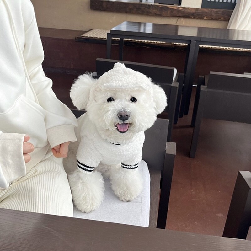 Drabužiai naminiams gyvūnėliams žiemai Mieli meškiuko raštai šunų drabužiai Meškiukai Šilti kombinezonai Drabužiai šuniukui pliušiniai keturkojai drabužiai naminių gyvūnėlių reikmenys