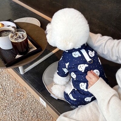 Silts suņu kombinezons Apģērbs Ziemas Kaķu Mode Dizainers Suņu Apģērbs Mājdzīvnieks Jauki Karikatūra Džemperis Kucēns Pidžamas Čivavas Suņu Jakas