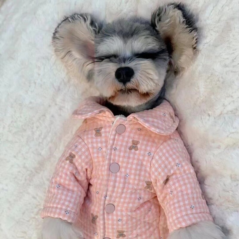 Medvilninė striukė su keturkojais augintiniams Mielas languotas meškiuko striukė Pastorintas šuniukas Mažas šuniukas Jorkšyro šnauceris Teddy Drabužiai Šuns kostiumas