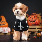 Glow Dark Pet Outfit Bőrbarát Pet Outfit Skeleton Pet jelmez Jumpsuit kis közepes kutyáknak Vicces Halloween kiskutya számára
