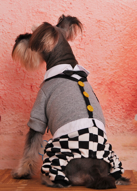 Išpardavimas Išpardavimas naminiams gyvūnėliams žiemos rudens kombinezonai, skirti Čihuahua Jorkšyro mažiems šuniukams gyvūnų šunų kombinezonai Pigūs priedai