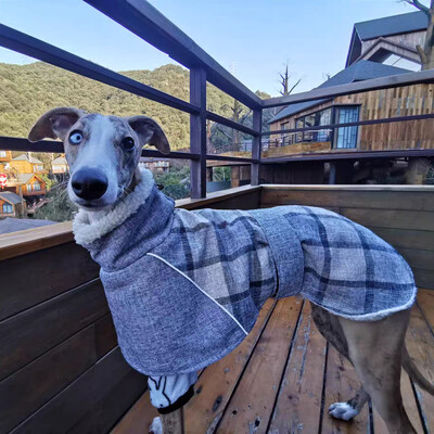 Ιταλία Greyhound Ρούχα Φθινόπωρο/Χειμώνας καρό παλτό μαλλί ανακλαστικό κρύο από βαμβακερό παλτό κατάλληλο για ρούχα για σκύλους Whippet