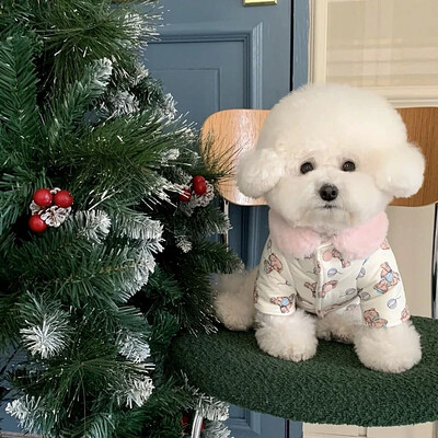 Cute Bear Print Ρούχα κατοικίδιων για σκύλους Ρούχα για κατοικίδια Ζεστά βαμβακερά ρούχα Χειμερινά ρούχα για κουτάβι Παχύ παλτό κουτάβι Μοντέρνα ζακέτα