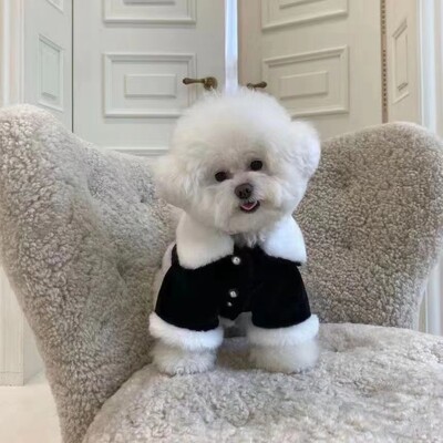 Kačių ir šunų rūbai augintiniams žieminiai pastorinti šilti plaukuoti šnaucerio nei lokio meškiukai shiba šunų vidutinio kailio medvilniniai drabužiai