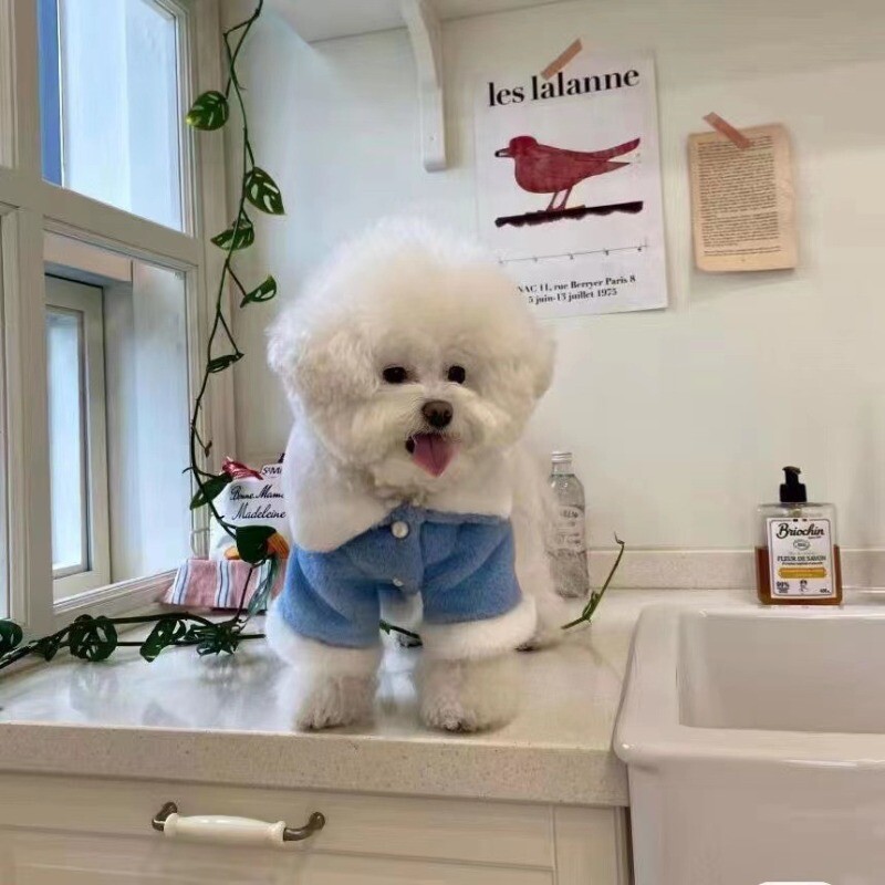 Kačių ir šunų rūbai augintiniams žieminiai pastorinti šilti plaukuoti šnaucerio nei lokio meškiukai shiba šunų vidutinio kailio medvilniniai drabužiai