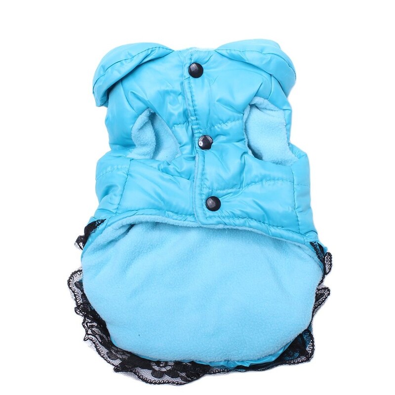 Šunų katės suknelė, paltas, švarkas, suknelė, lankas ir nėriniai.