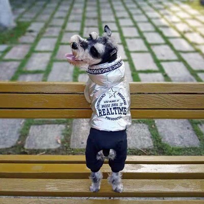 Téli Jumpsuit Kutyák Meleg vízálló Kutyaruhák Kis kutyáknak Vastag kabátok Jelmez Overallok Chihuahua Bulldog Háziállatok