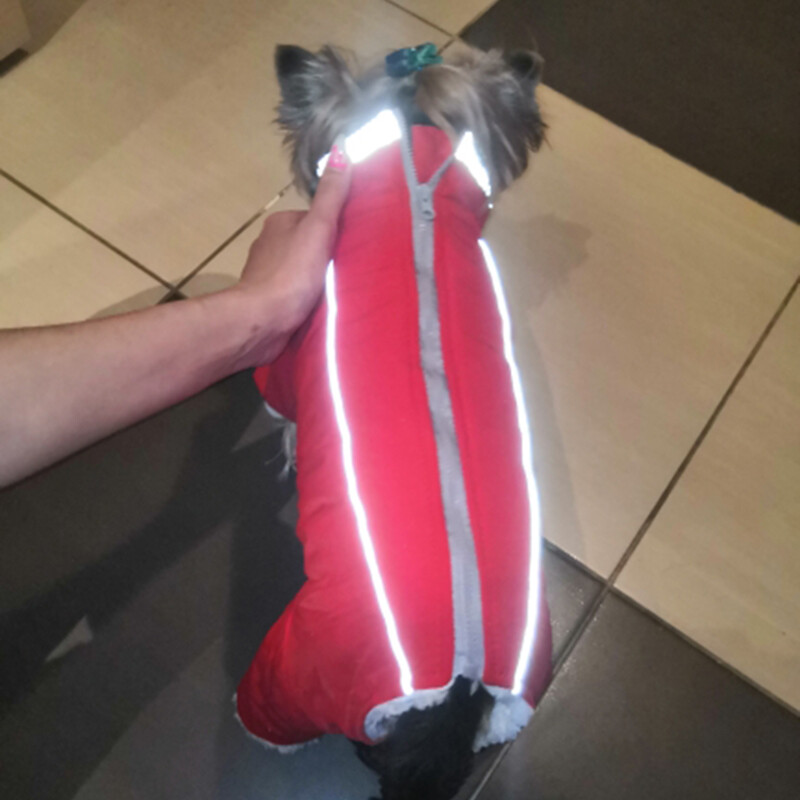 Patinas Moterų Kombinezonas Žieminiai Kombinezonai Mažiems Šunims Šilti Stori Šuniuko rūbai Čihuahua Maltos taksams