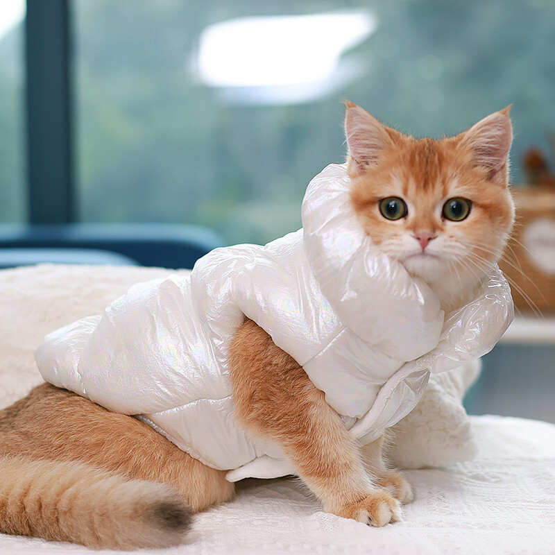 Mājas suns Ziemas mētelis Kaķu princeses dūnu apģērbi Silti apģērbi Mājdzīvnieku sabiezināti apģērbi Suņu dūnu veste Jaka Kucēns Kokvilnas mētelis