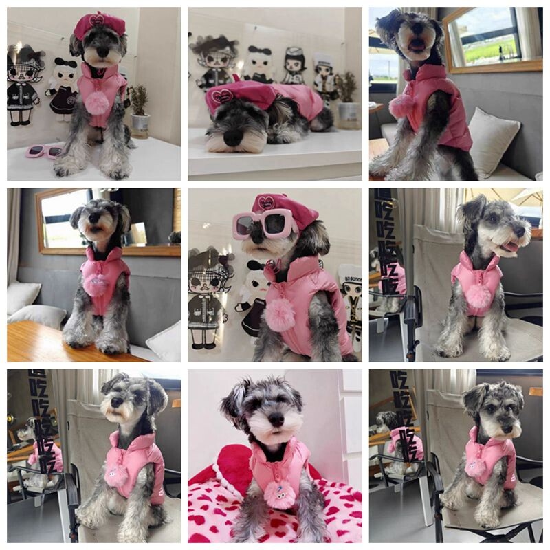 Pūkinė striukė naminiams šunims žieminė nauja pastorinta pūkinė liemenė šilta katės paltai be rankovių šunų liemenė šnauceris bichon maži šunų drabužiai