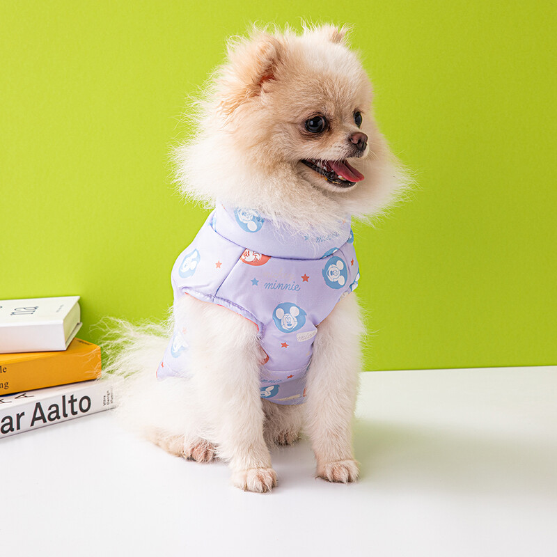 Disney 2022 új kutyapamutkabát Aranyos nyomtatott kisállatmellény kültéri melegkabát Four Seasons kisállatruhák