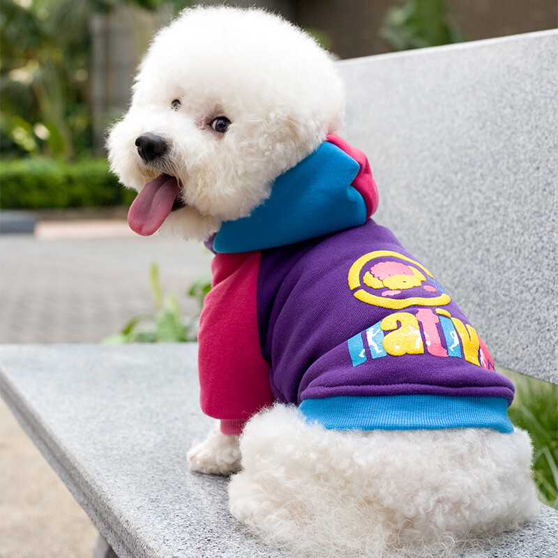 Zimski kaput za pse Debela topla odjeća otporna na vjetar Lagana majica s kapuljačom za pse Pamučno podstavljena jakna Odjeća za kućne ljubimce Chihuahua Yorkshire