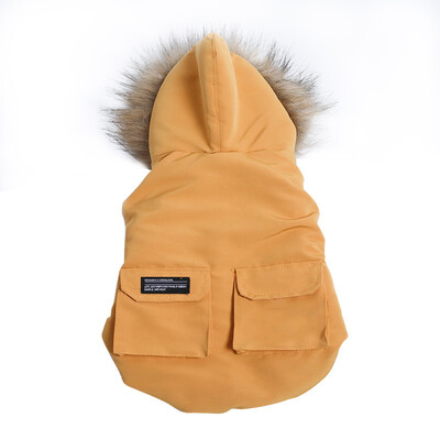 Modes franču buldogu mājdzīvnieku dūnu jaka mētelis ziemas suņu drēbes ar apkakli maziem un vidējiem suņiem talismani kucēnu kaķu apģērbs