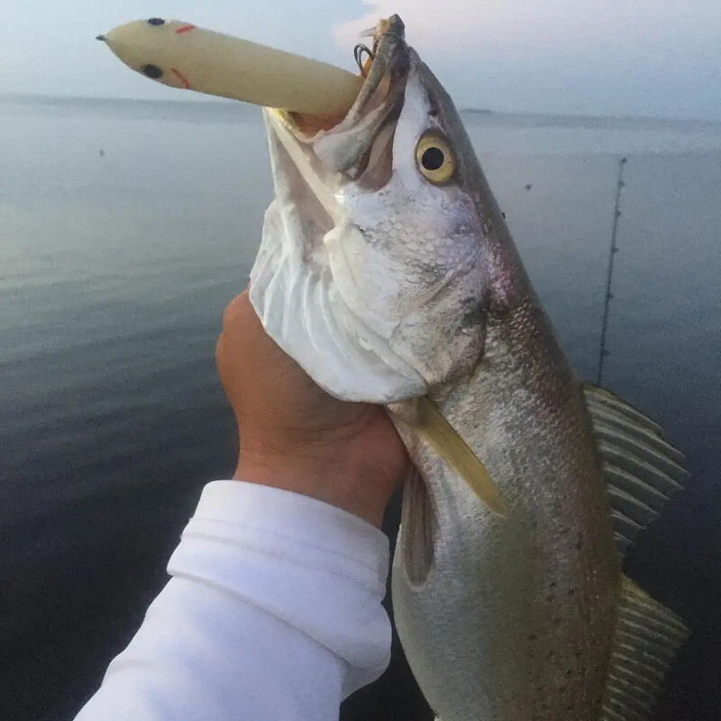 Fangbait plaukiojantis pieštukas žvejybos masalas 100 mm 11 g Stickbait Topwater Surface Walk The Dog Kietas masalas Asturie Vobleriai Bass Pike